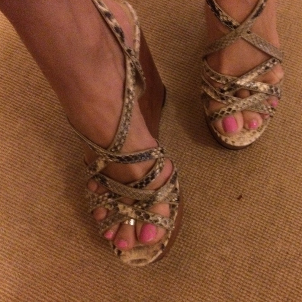 Alexandre Birman Python wedges